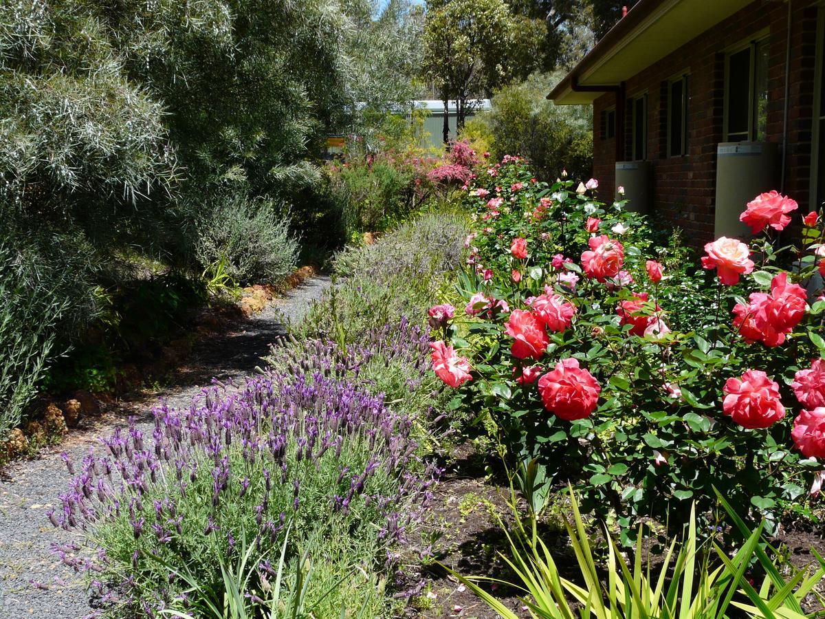 Country Charm Retreat B&B Donnybrook Eksteriør billede